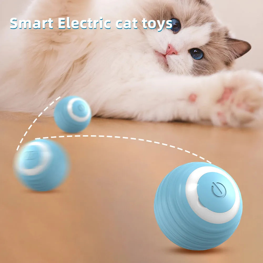 Cat Interactive Smart Ball