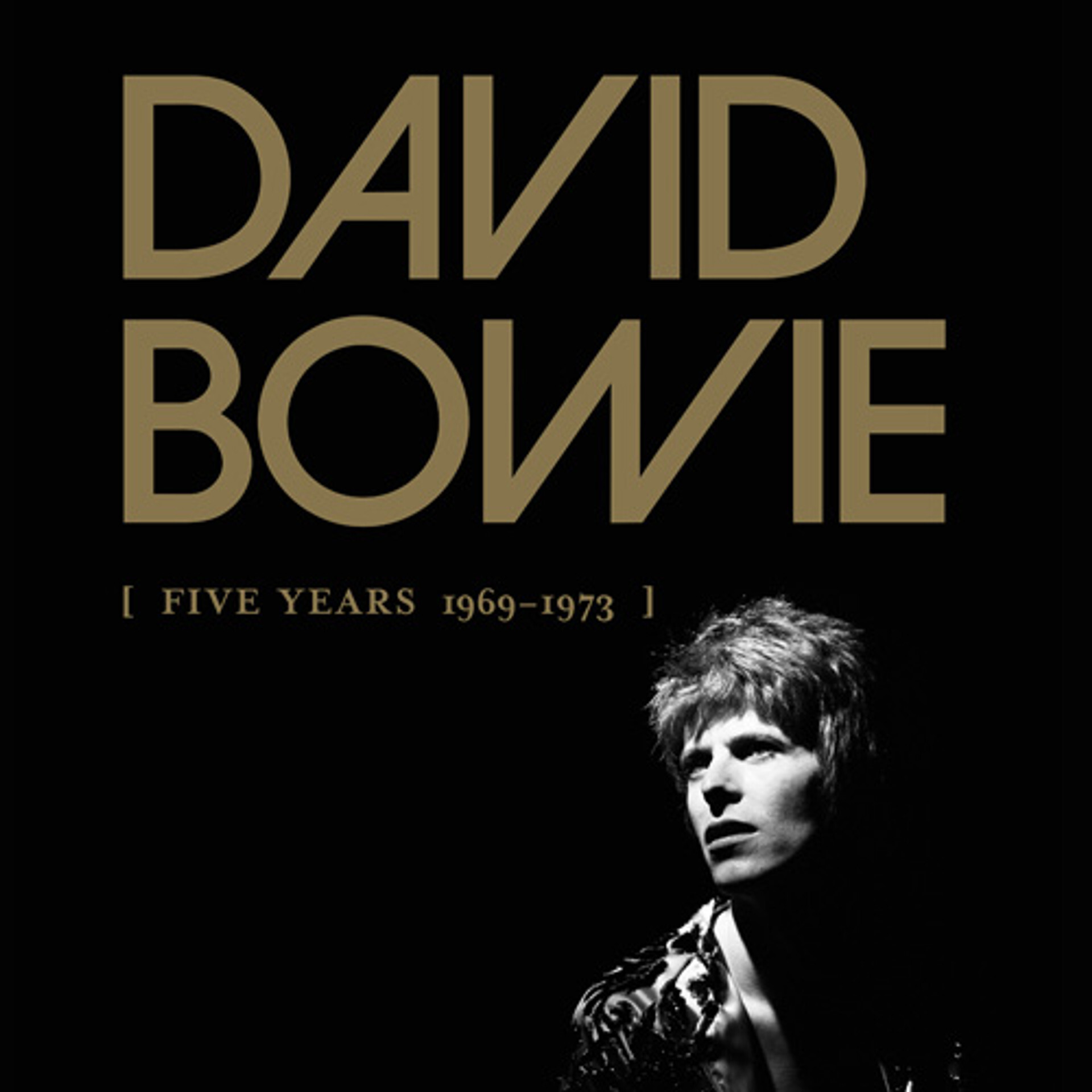 David Bowie Five Years 1969-1973 180g 13LP Box Set