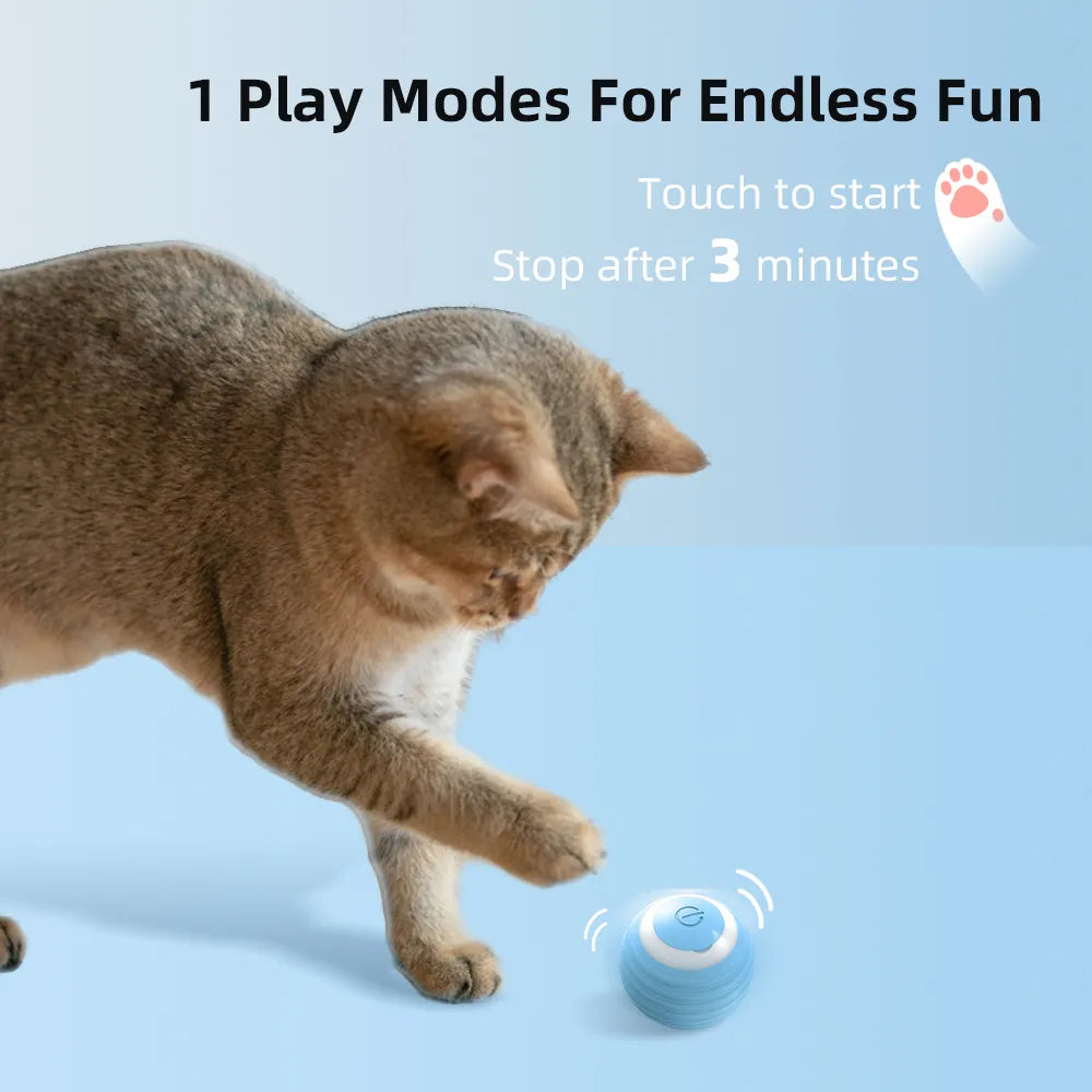 Cat Interactive Smart Ball