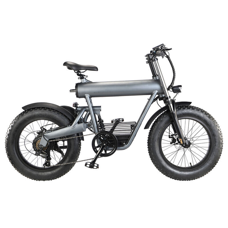 New Arrival 500W Electric Bicycle High Speed 50km E BikeLimited time sale!