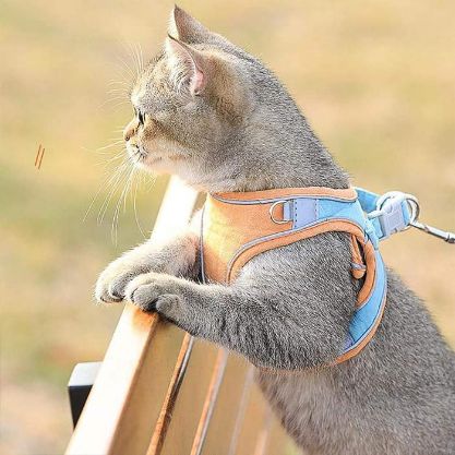 Cat Harness Leash
