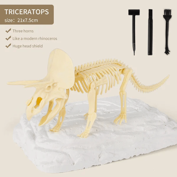 Great Educational Toy for Kids🎁2022 New Arrival Dinosaur Fossil Digging Kit - Get Three Tools For Free🔥