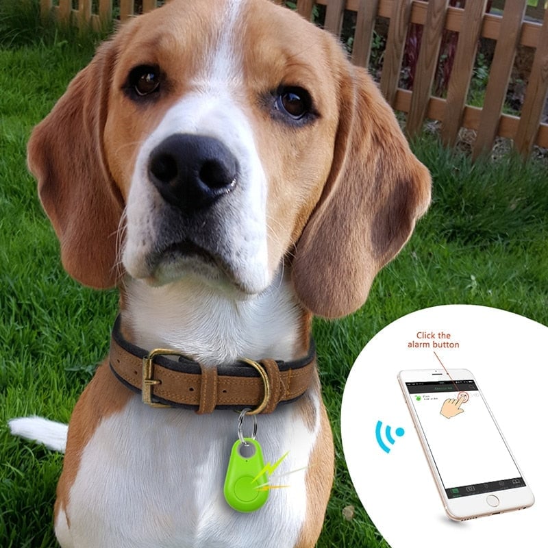 Bluetooth and GPS Pet Wireless Tracker🔥